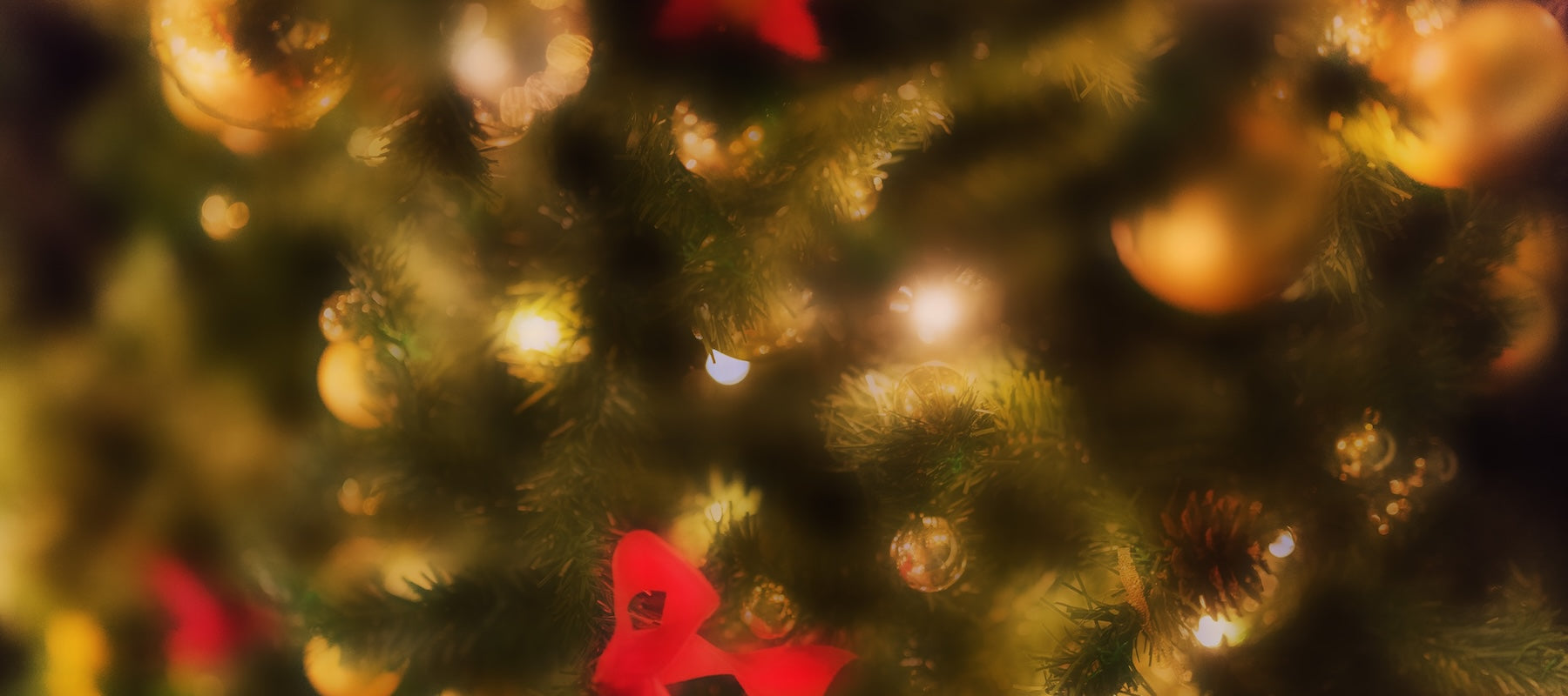 HOLIDAY GIFT SELECTION 2025